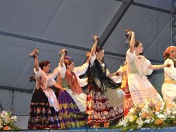 Festival de Folkore en Mula